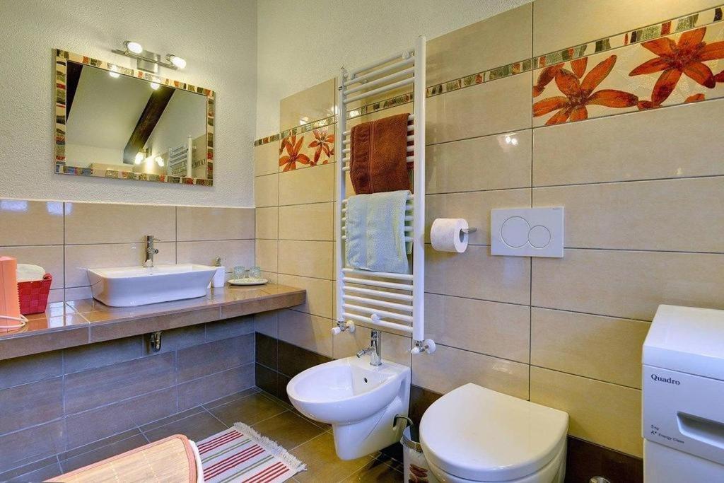 Casa Karnevali Villa Žminj Dış mekan fotoğraf
