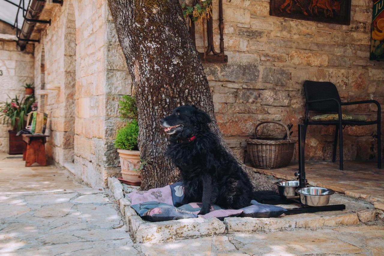 Casa Karnevali Villa Žminj Dış mekan fotoğraf